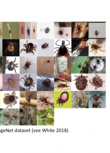 RECORDING | MARTIN ZEILINGER: ADVERSARIAL IMAGES BETWEEN ABSTRACTION AND GENERALIZATION