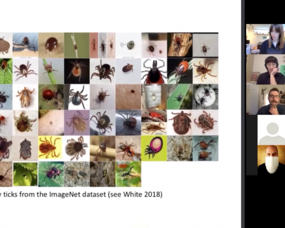 RECORDING | MARTIN ZEILINGER: ADVERSARIAL IMAGES BETWEEN ABSTRACTION AND GENERALIZATION